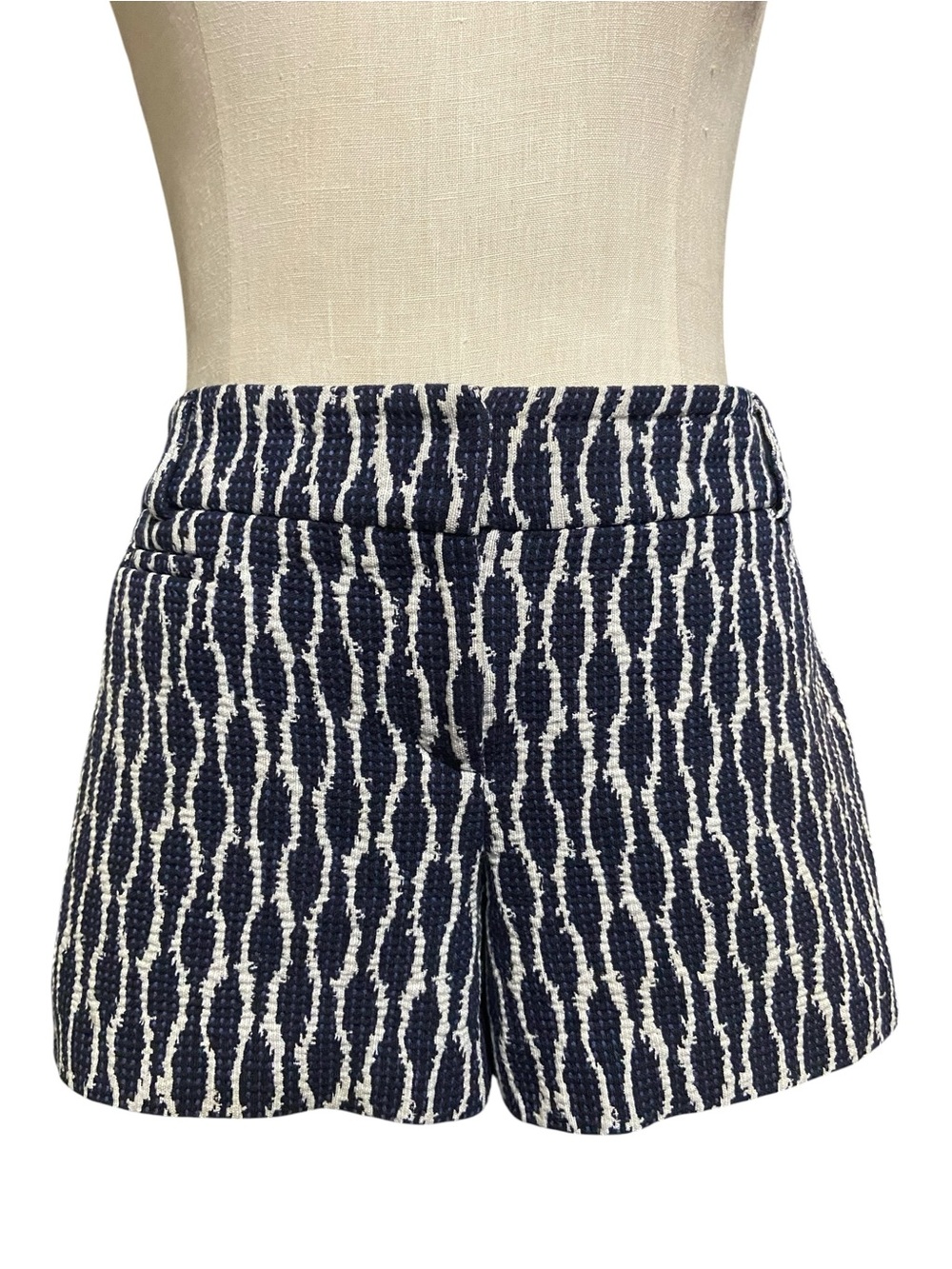 Ann Taylor LOFT Ikat Jacquard Riviera Shorts Sz 4